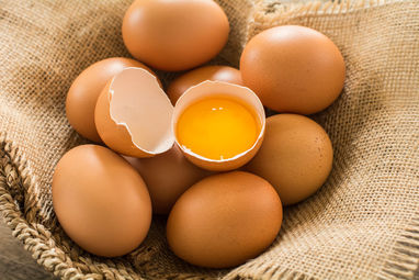 優質雞蛋